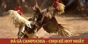 đá gà campuchia 188bet